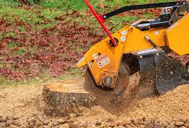 Best Aeration Services  in Redwood Falls, MN